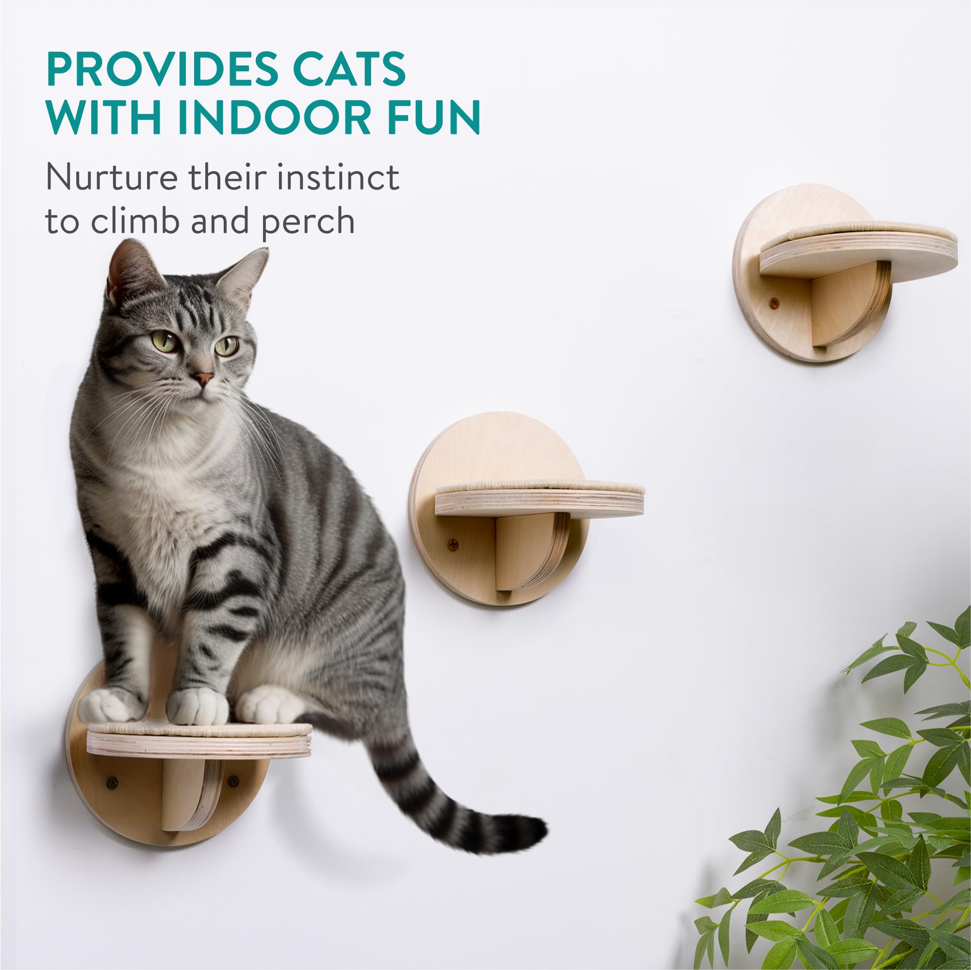 Navaris Escaliers pour Chat - Lot 3X Marche Parcours Mural Chat 16 x 16 x 15 cm pour Chats Chatons avec Fixation Murale - Marche Flottante Escalade avec Surface en Sisal