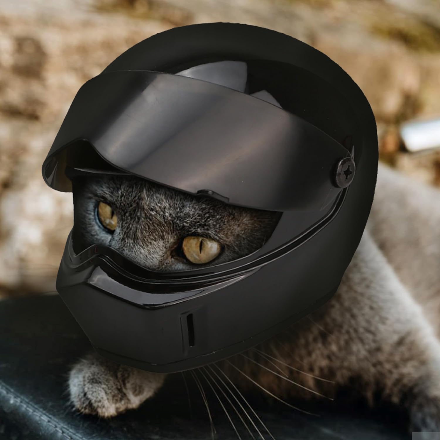 Cat Helmet Bike Riding Hat Cat Motorcycle Helmet, Mini Helmets