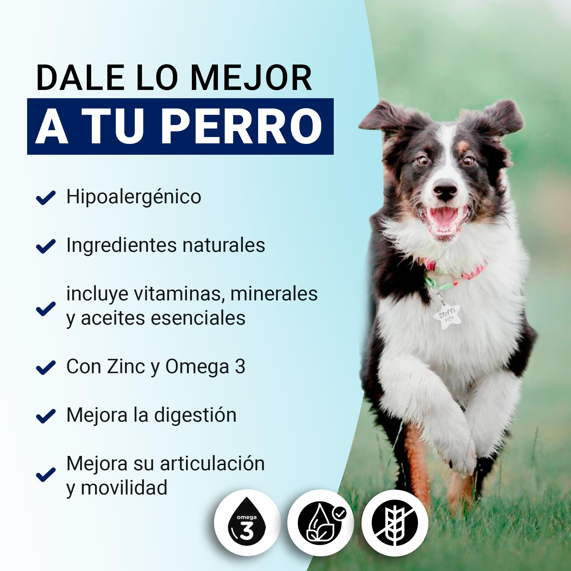 Yerbero Nature Senior Diet Pienso Hipoalergénico para Perros Mayores con Pescado, Pienso Bajo en Grasas para Mayores de 8 Años con Vitaminas, Comida Perros para el Cuidado Articulaciones Pack 2 de 3kg