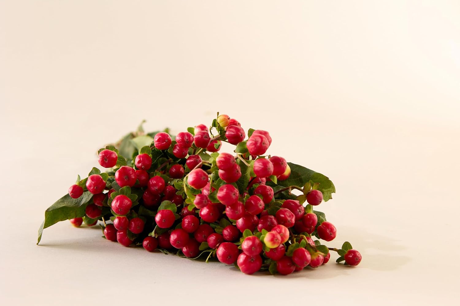 Kazani Revitalizing Hair Mask | Caffeine, Biotin, Rosemary