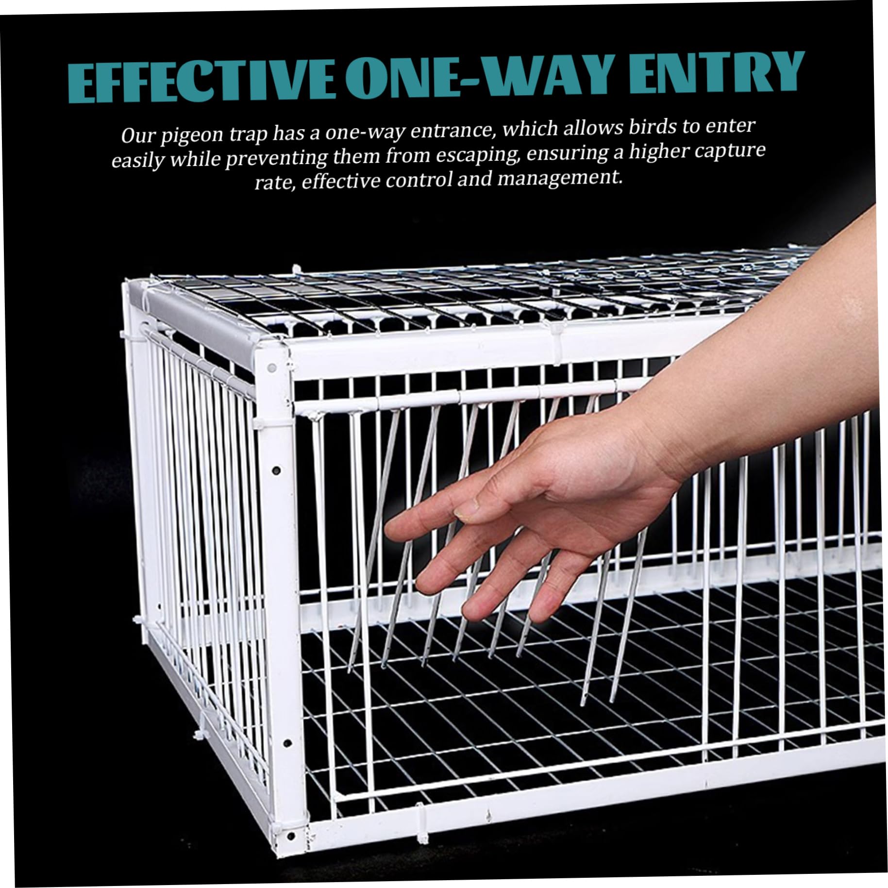 Piège à Pigeons, piège à Oiseaux avec entrées Sens Unique et Lucarne, Cage Pigeons en métal de 16 x 12 x 10 Pouces pour fermes, granges, Jardins, Cage d'élevage de colombes
