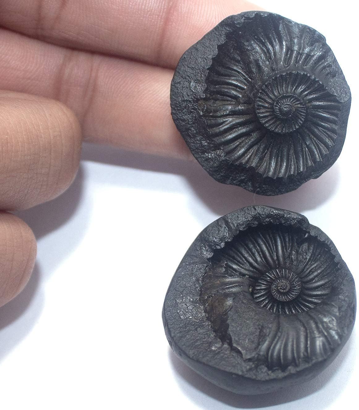 LAKSHMI NARAYANA 2 PIECE