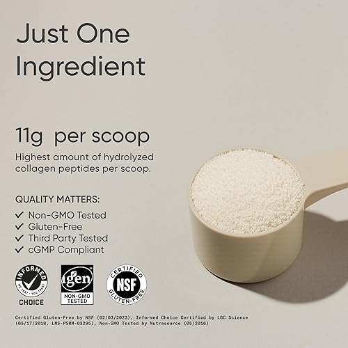 Vista 68 de Sports Research Péptidos de colágeno premium en polvo y té verde matcha orgánico, suplemento de proteína de colágeno en polvo con matcha japonés