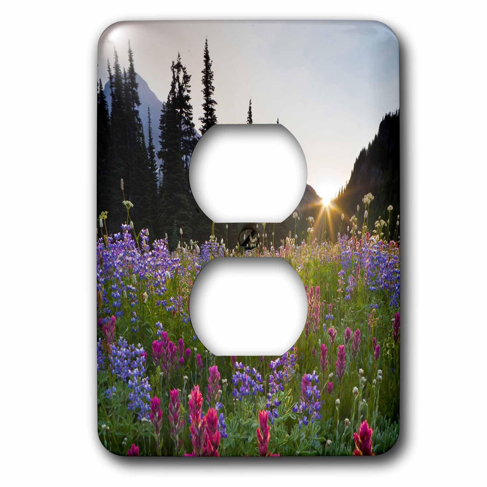 Plaque de finition cache de prise 2 prises 3dRose LSP_95663_6 multicolore