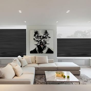 Changshade Cellular Shades Day and Night Blinds for Windows Custom Size, Cordless Blackout Light Filtering 2 in 1 Top Down Bottom Up Double Honeycomb Blinds Thermal Insulated Heat Blocking, Black