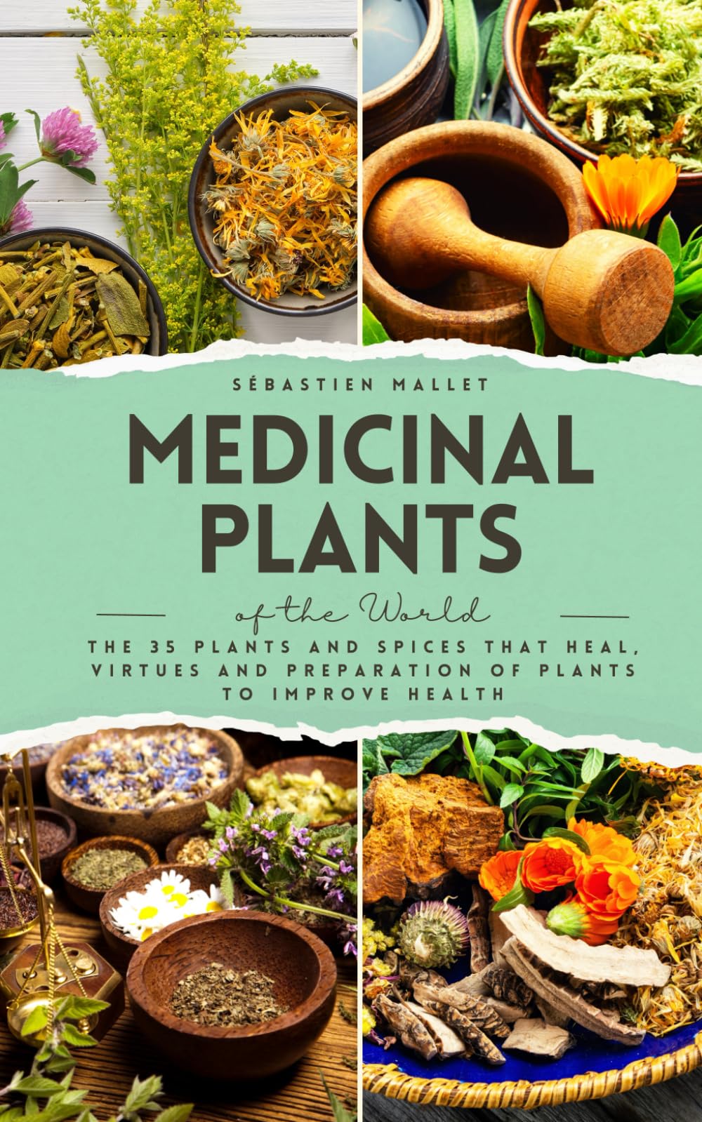 Medicinal Plants: The 35 plants and spices that heal, virtues and preparation of plants to improve health (VitalGreen Editions)