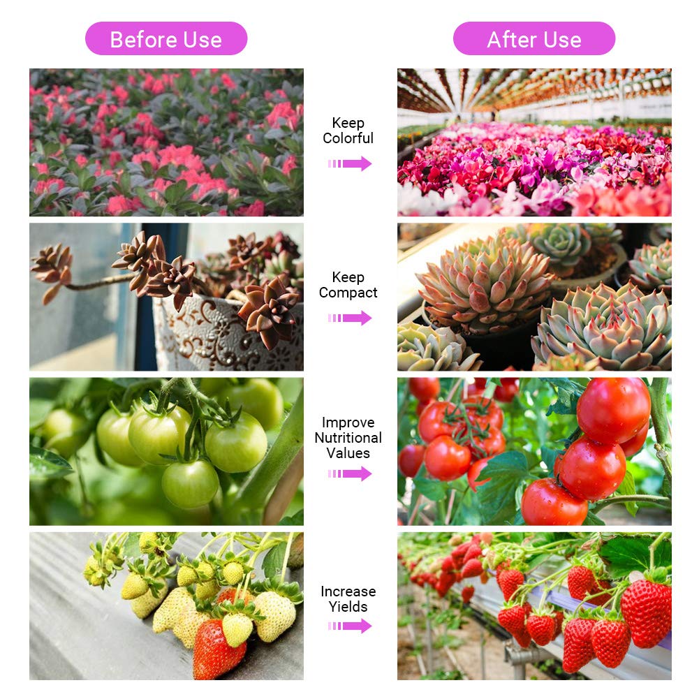 EU 100‑240Vac 1200W Led Plant Grow Light Espectro Completo Interruptores Dobles Luz De Planta para Plantas De Interior Vegetales Y Flores
