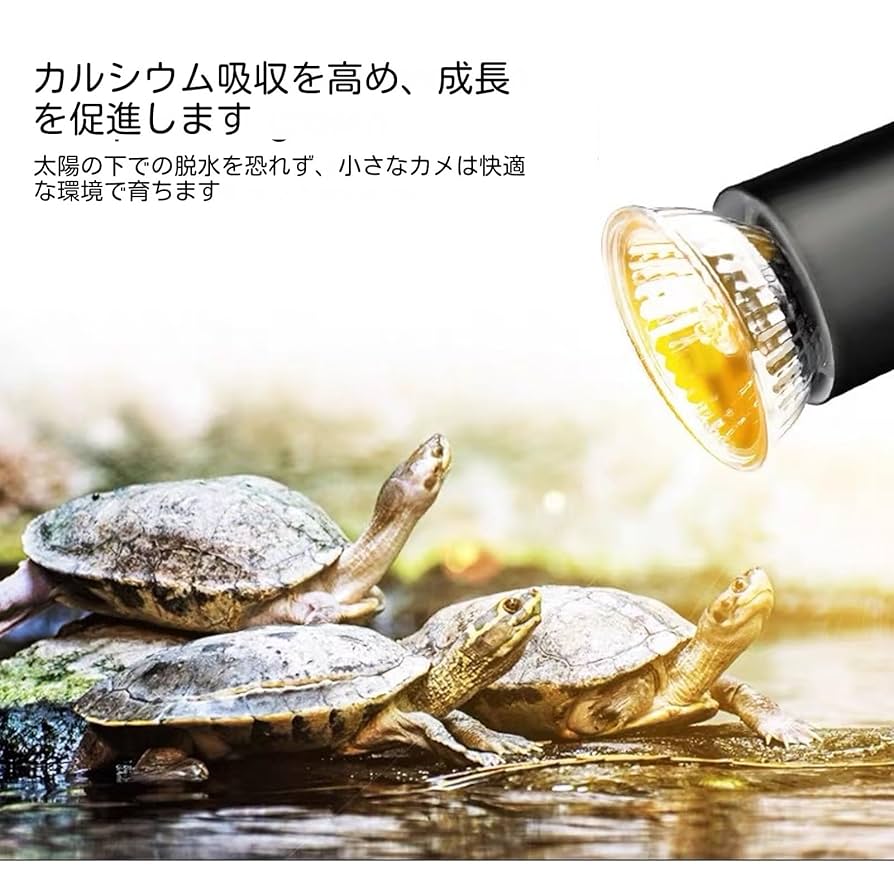 y*e様 爬虫類　ヒーター　ライトスタンド Amazon.co.jp: DADDYPET 爬虫類 ライト ランプ 両生類ヒーター