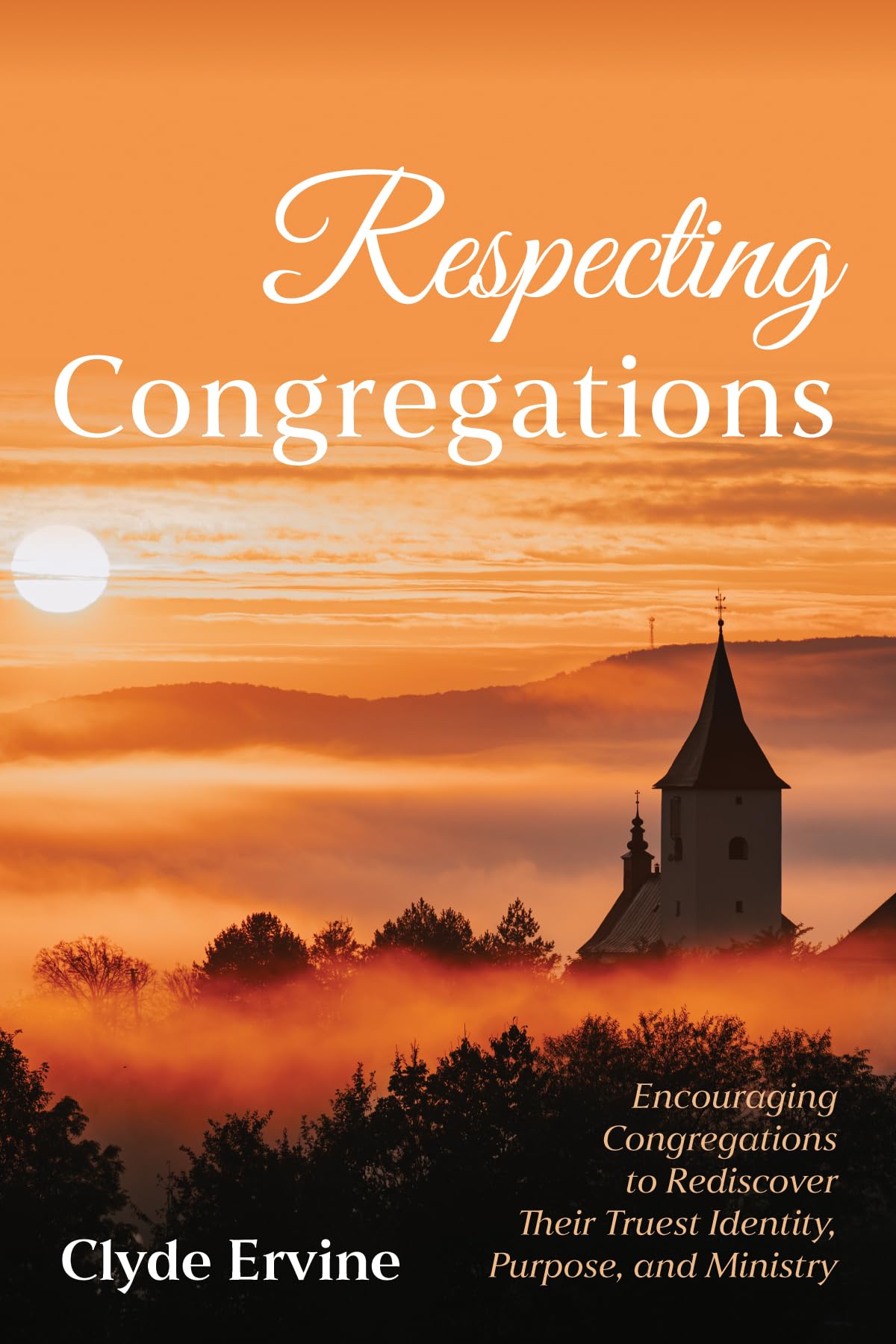Respecting Congregations: Encouraging Congregations to Rediscover Their Truest Identity, Purpose, and Ministry