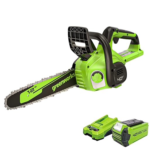 Greenworks 40V 12" Cordless Compact Chainsaw (Great For Storm Clean-Up, Pruning, and Camping), 2.0Ah Battery and Charger Included
