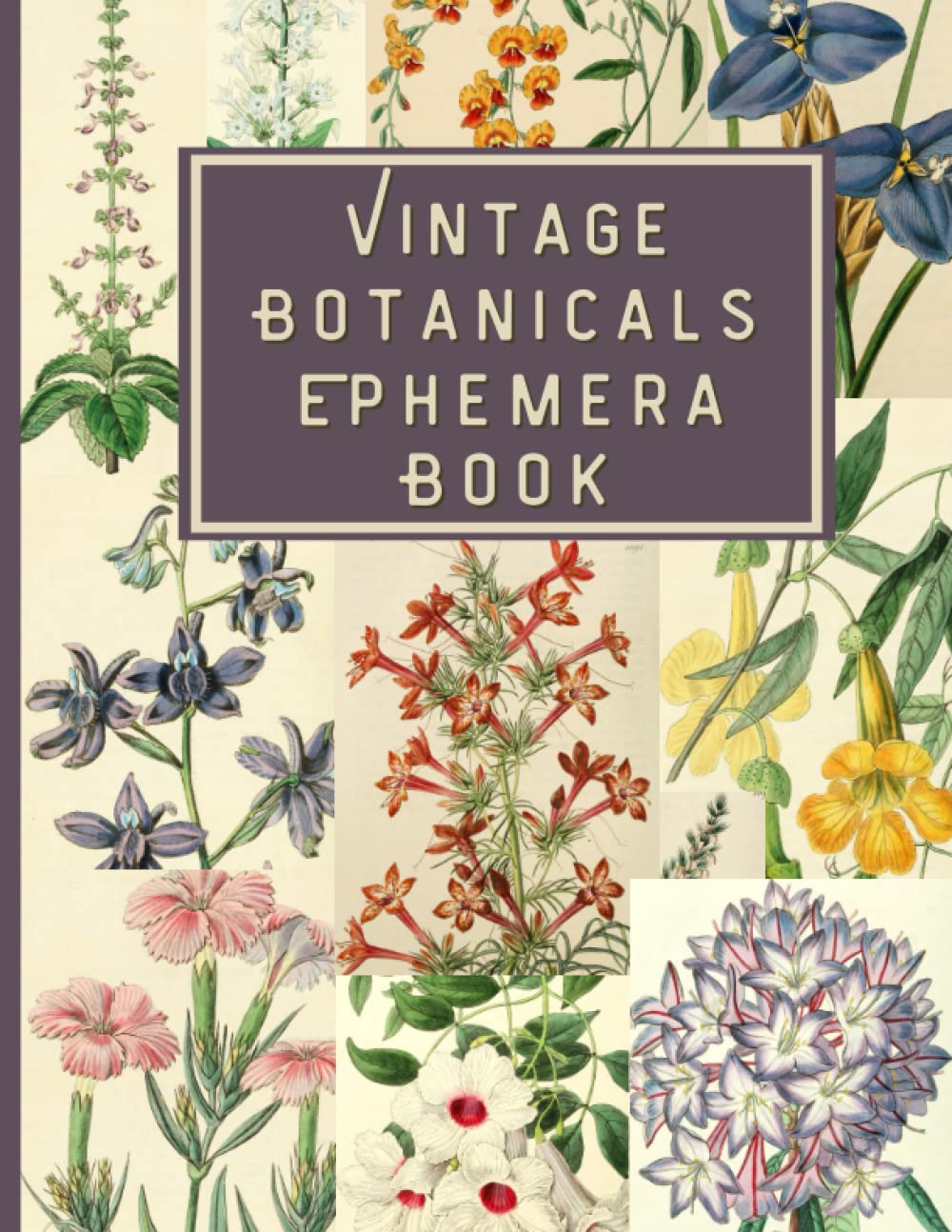 Vintage Botanicals Ephemera Book: (Matte) Vintage Botany Images for Junk Journaling, Scrapbooking, Collage, Mixed Media Art and Many Other Crafts