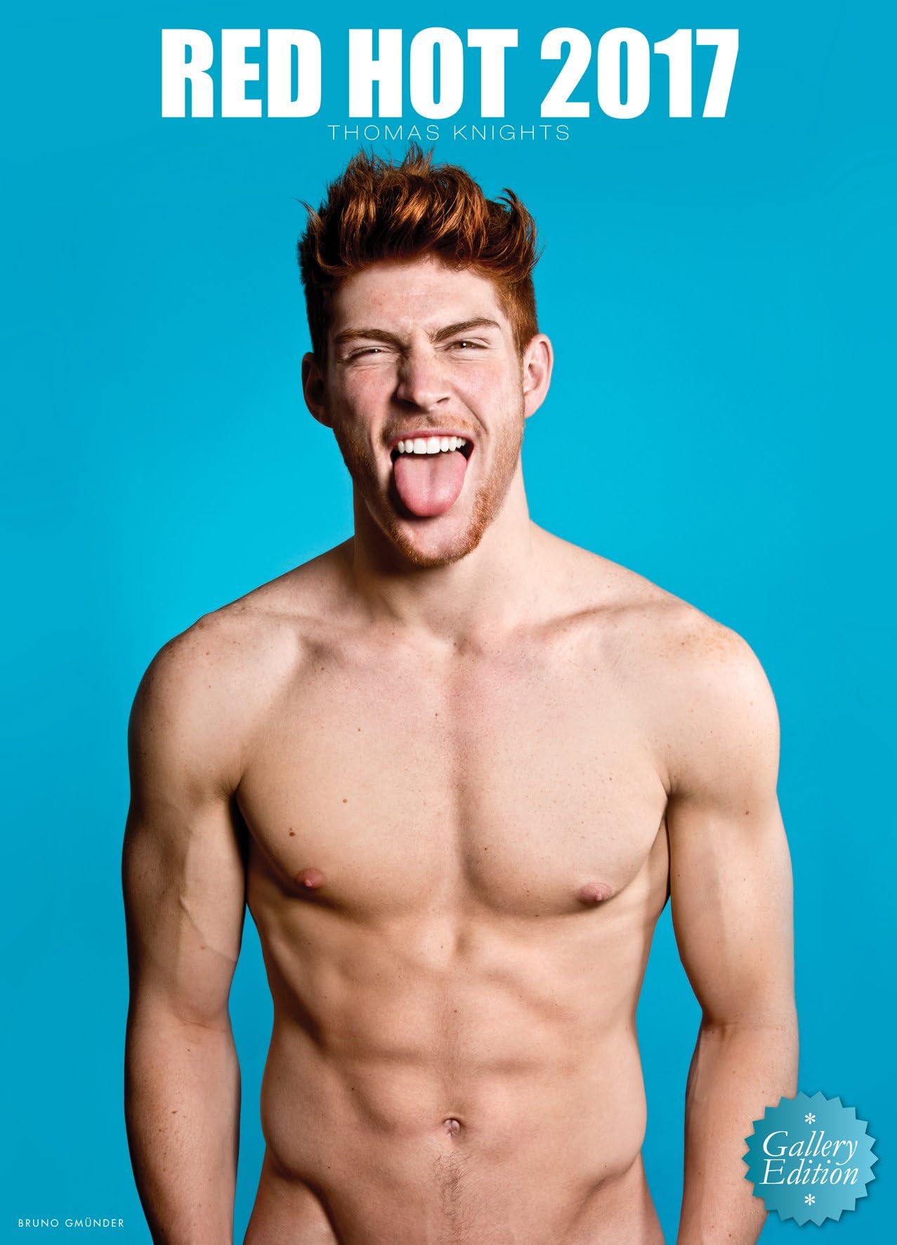 Red Hot 2017: Gallery Edition: Super Large Size Calendar – Wall Calendar, 18 Aug. 2016