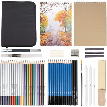 Amazon スケッチ鉛筆 スケッチ用の鉛筆セット デッサン鉛筆 51点セット ポータブル デッサンツールと 2 スケッチブック素描 初心者 美術系学生 収納ケーズ付き 子供や大人も適用な絵具 鉛筆 文房具 オフィス用品