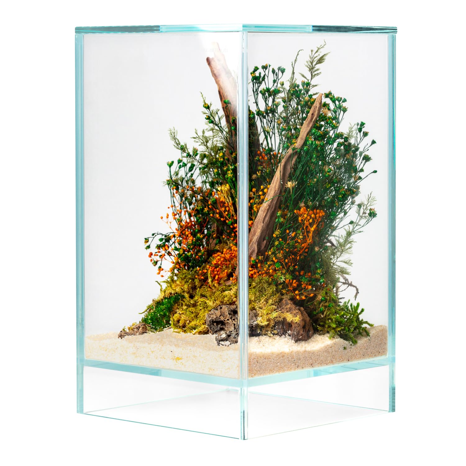 Terrario Stabilizzato Sparoza in Vetro Extrachiaro, Completo di luce e supporto, Fiori Stabilizzati Arredo Naturale Elegante Senza Manutenzione per Casa, Ufficio e Idee Regalo Green