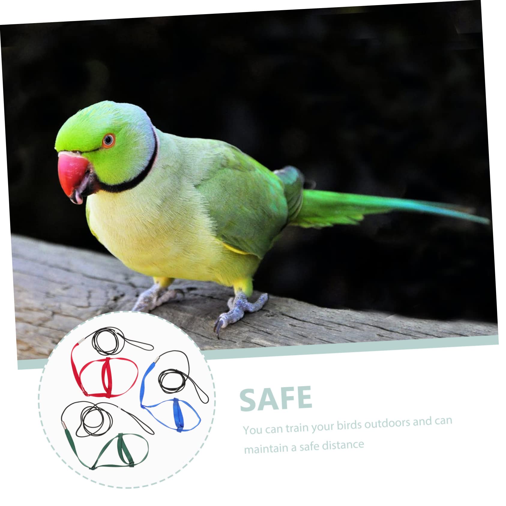 Angoily 12piezas Cuerda De Vuelo para Aves Ajustable Arnés y Correa para Entrenamiento De Periquitos y Loros para Salidas Al Aire y Seguridad del Mascota