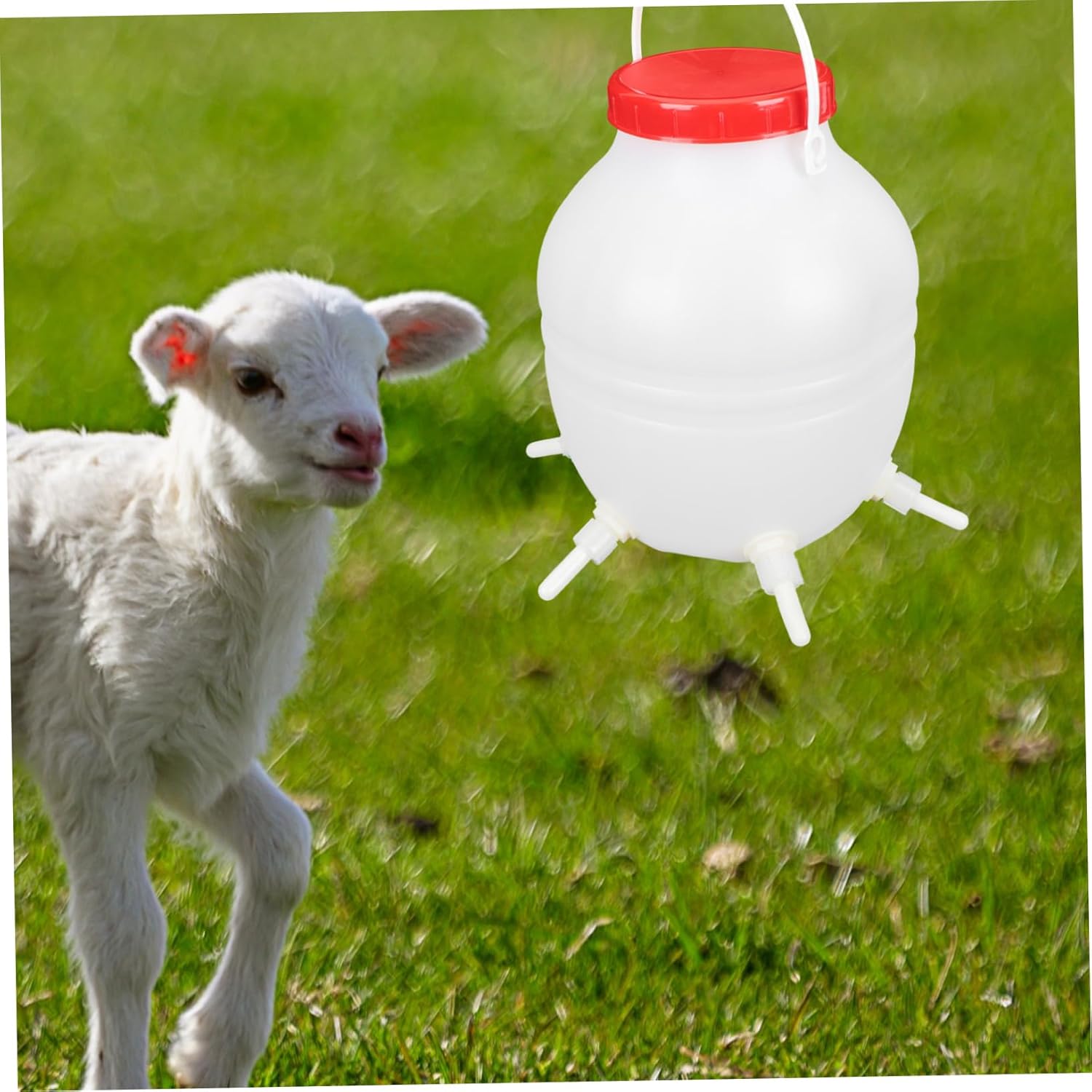 Lamb Milk Bucket Calf Feeding Bottle Silicone Nipples Nursing Feeder for Orphaned Lambs Goat Sheep Pigs Cattle