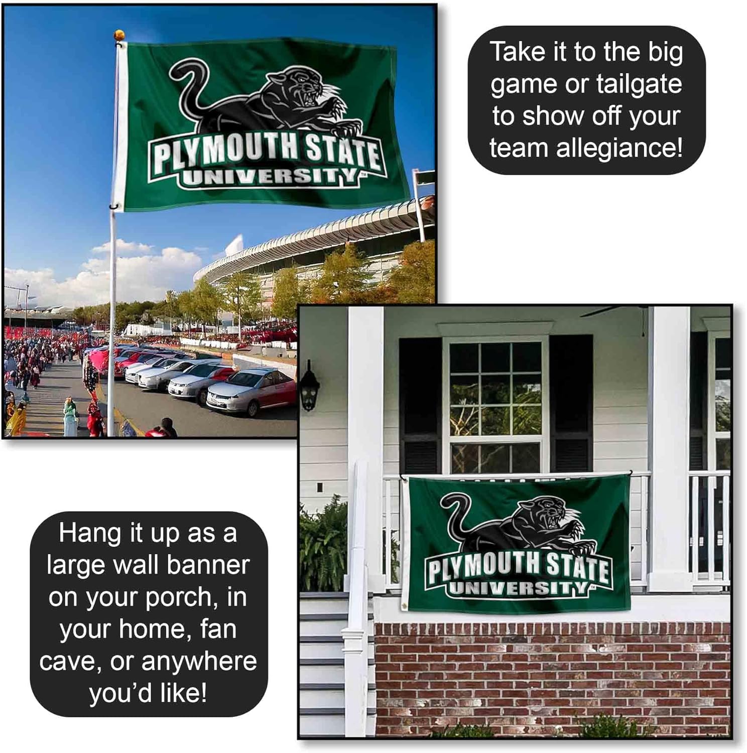 Plymouth State Panthers Flag - Image 4