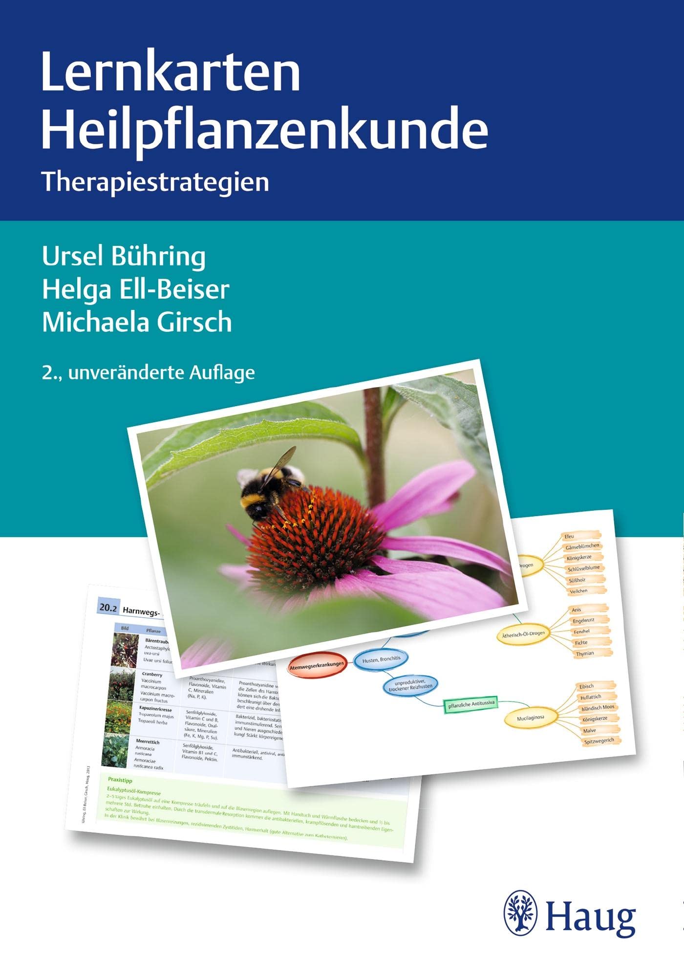 Lernkarten Heilpflanzenkunde: Therapiestrategien