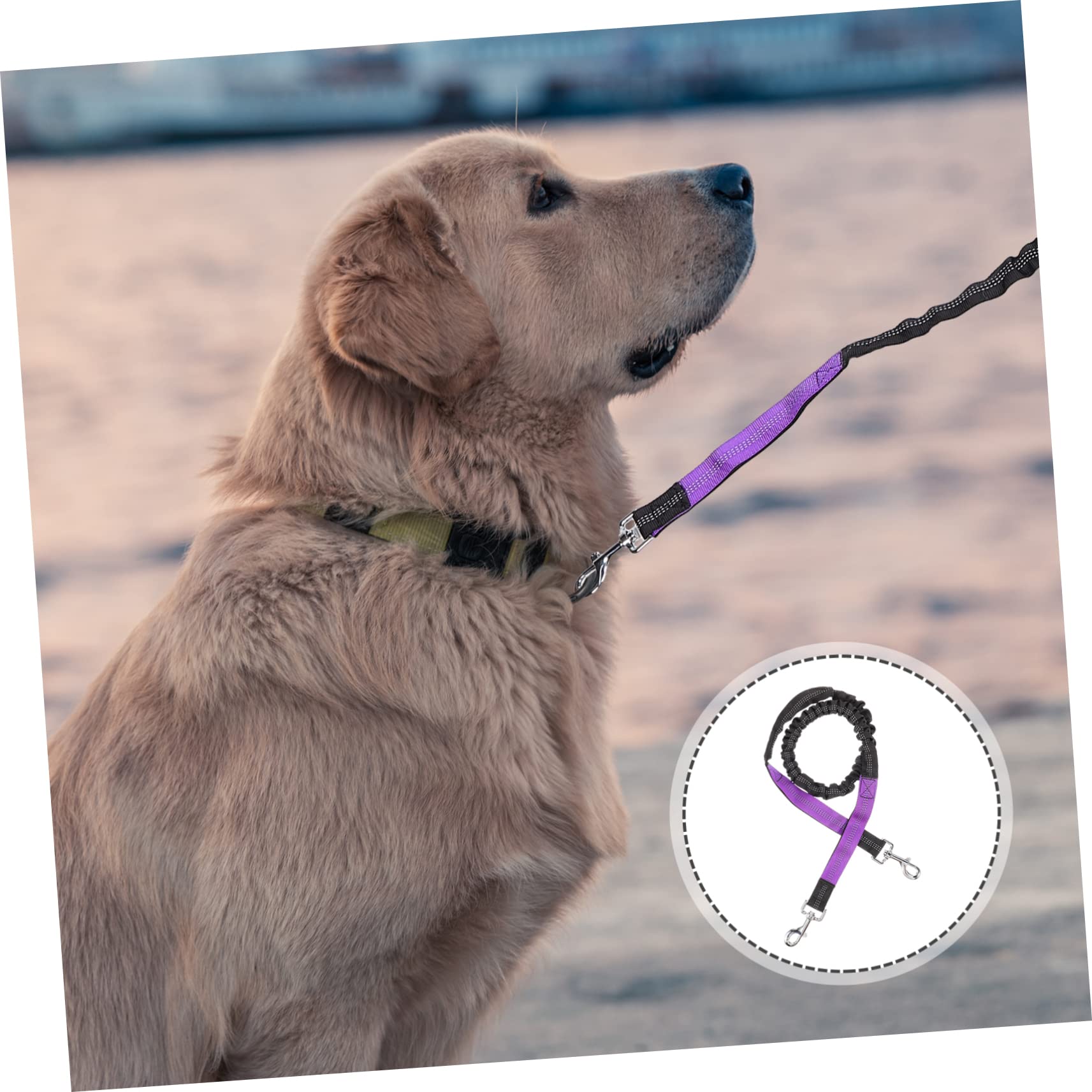 SUPVOX 2 Pz Guinzaglio Per Animali Domestici Guinzaglio Per Gatti All'aperto Guinzaglio Per Cani Con Corda Da Arrampicata Guinzaglio Di Controllo Del Cane Metallo Viola,porpora