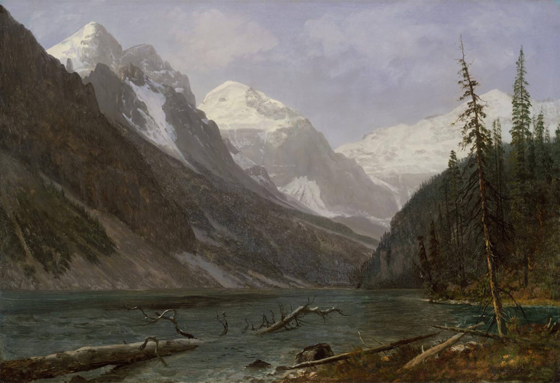 Cuadros de lienzo de las Montañas Rocosas para decorar salones elegantes de 60x90cm 5