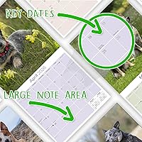 Vista 1096 de Razas de Perros 2017