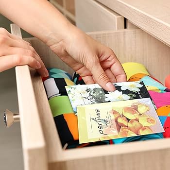 Perfume Closet／Cling Cling Cling Cling - YouTube