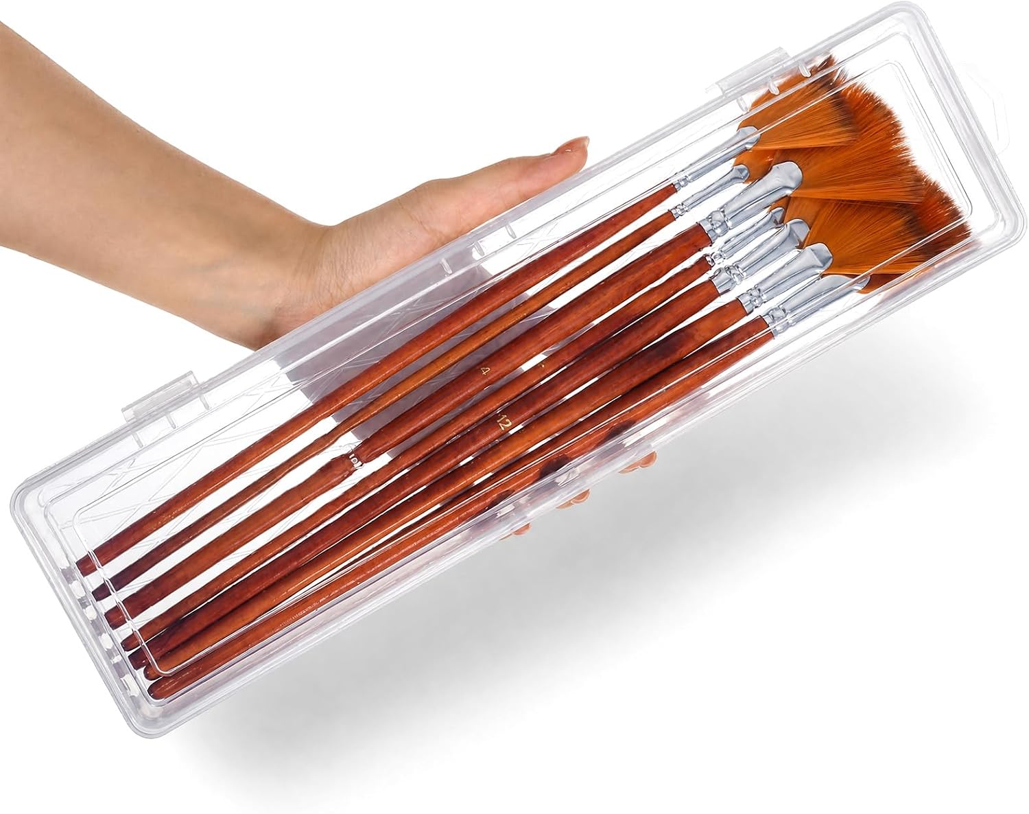 13.78 Inch Paint Brush Storage Translucent Plastic Paint Brush Case