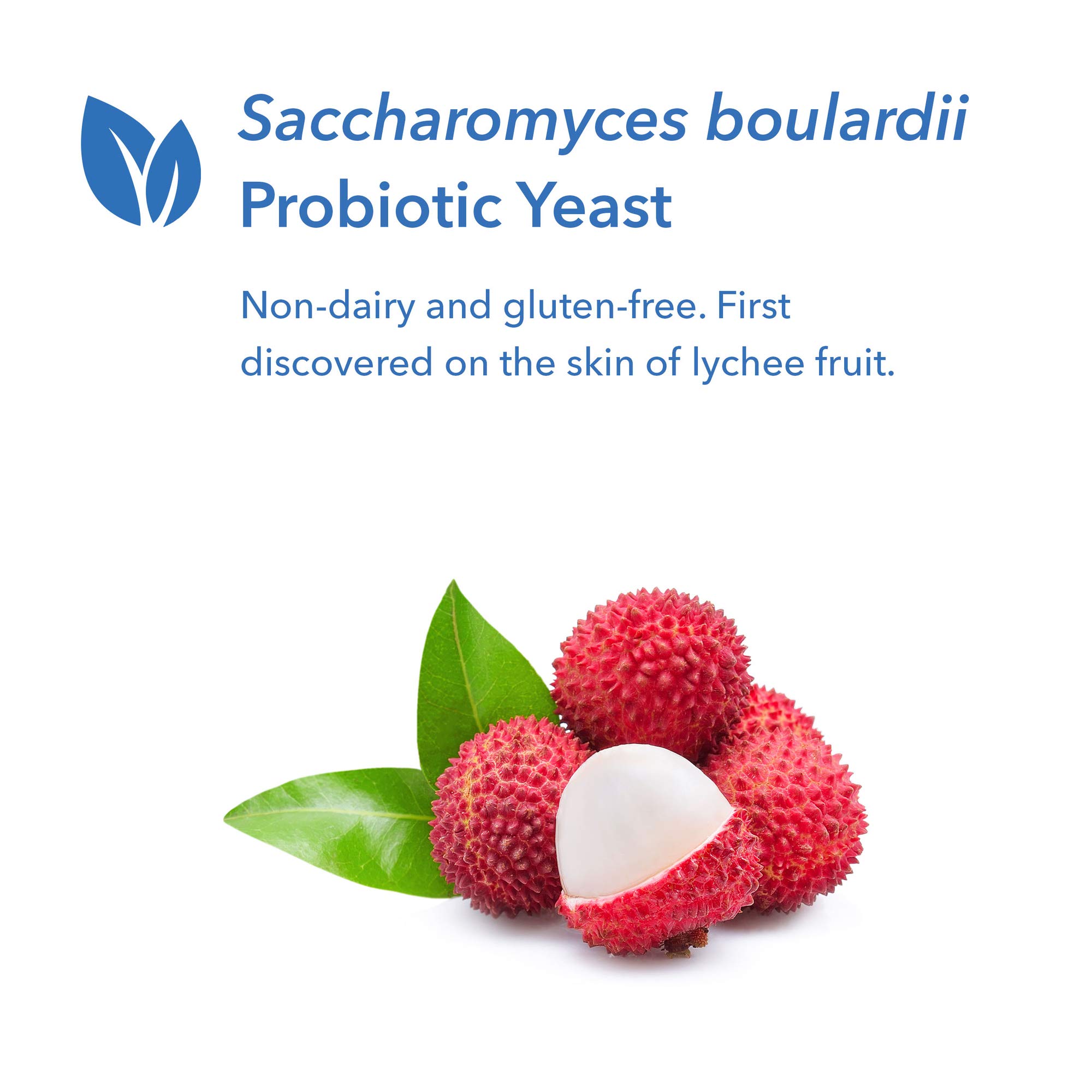 Buy Allergy Research Group EssentialBiotic Saccharomyces Boulardii