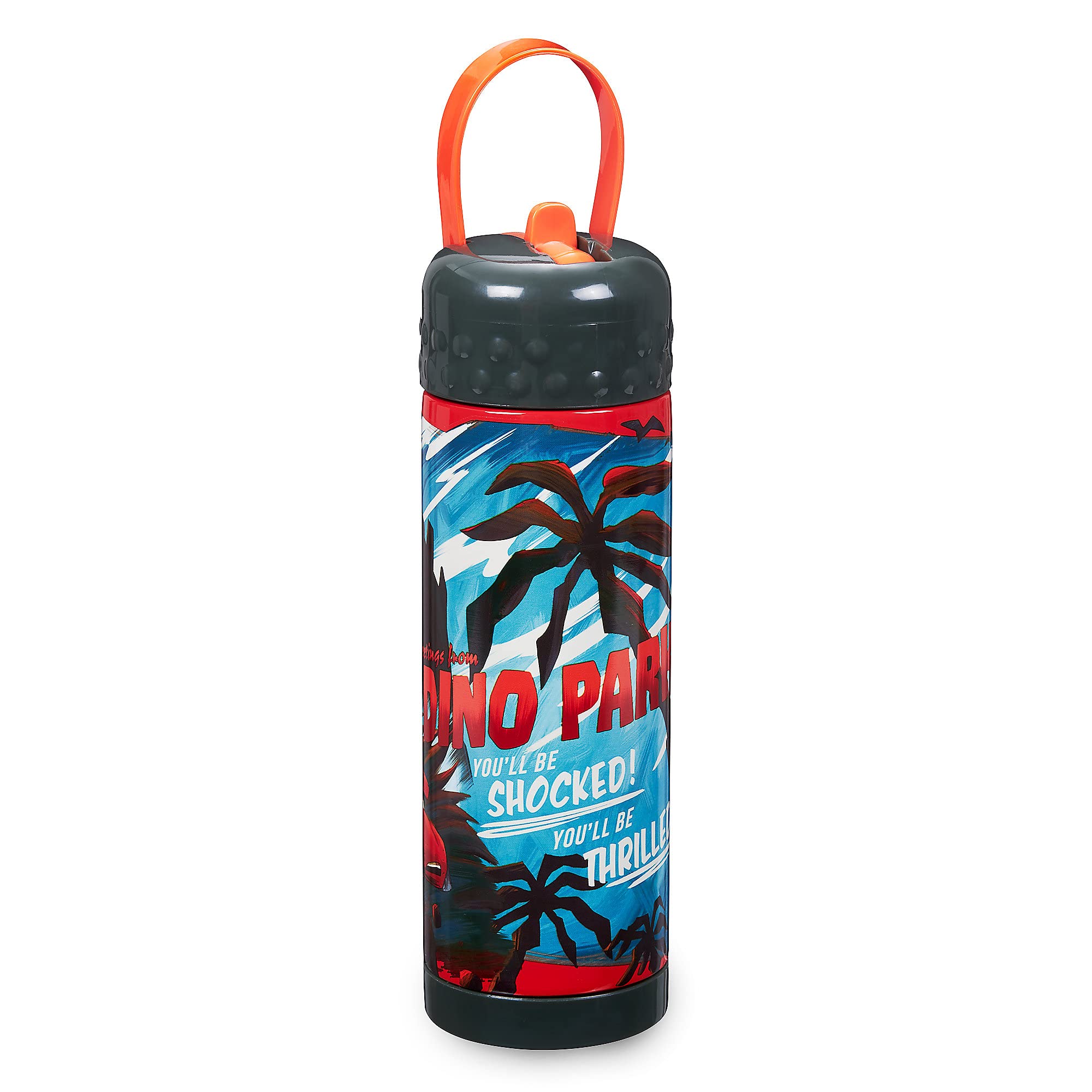 Disney Pixar Multicolored Cars On The Road Stainless Steel Water Bottle With Built-In Straw