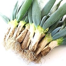 Thick and Delicious 2L - 3L Size! Shimonita Green Onion Assortment Set, 15 Pieces, 8.8 lbs (4 kg), From Gunma Prefecture, Directly From the Country of Origin