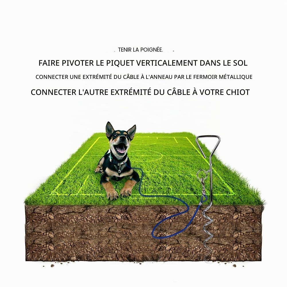 Câble Attache Chien,Piquet en Acier Inoxydable(3M 5M10M)-360° Laisse en Spirale Domestiques Complet pour Extérieur Jardin et Camping L’Attache en Alliage de Zinc Pas de Rouille-3M