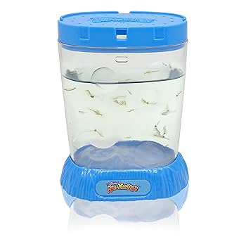 Sea-Monkeys シーモンキー セット Amazon.co.jp: Sea-monkeys オリジナルシーモンキーズ マジック