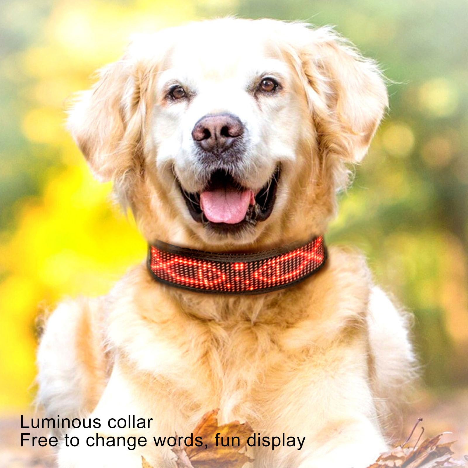 Collare per Cani a LED Programmabile Ricaricabile Luminoso Ad Alta visibilità Collare Luminoso Illuminato Sicurezza per Cani Lampeggiante Collo Luminoso BT Trasmette
