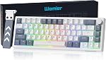 Womier 60% Keyboard QMK/VIA, Pink Gaming Mechanical Keyboard Creamy | Hot Swappable Gasket Mount RGB Wired Jade Keyboard, Jelly Keycaps POM Linear Switch for Windows/MAC(VK66 PRO Jelly)