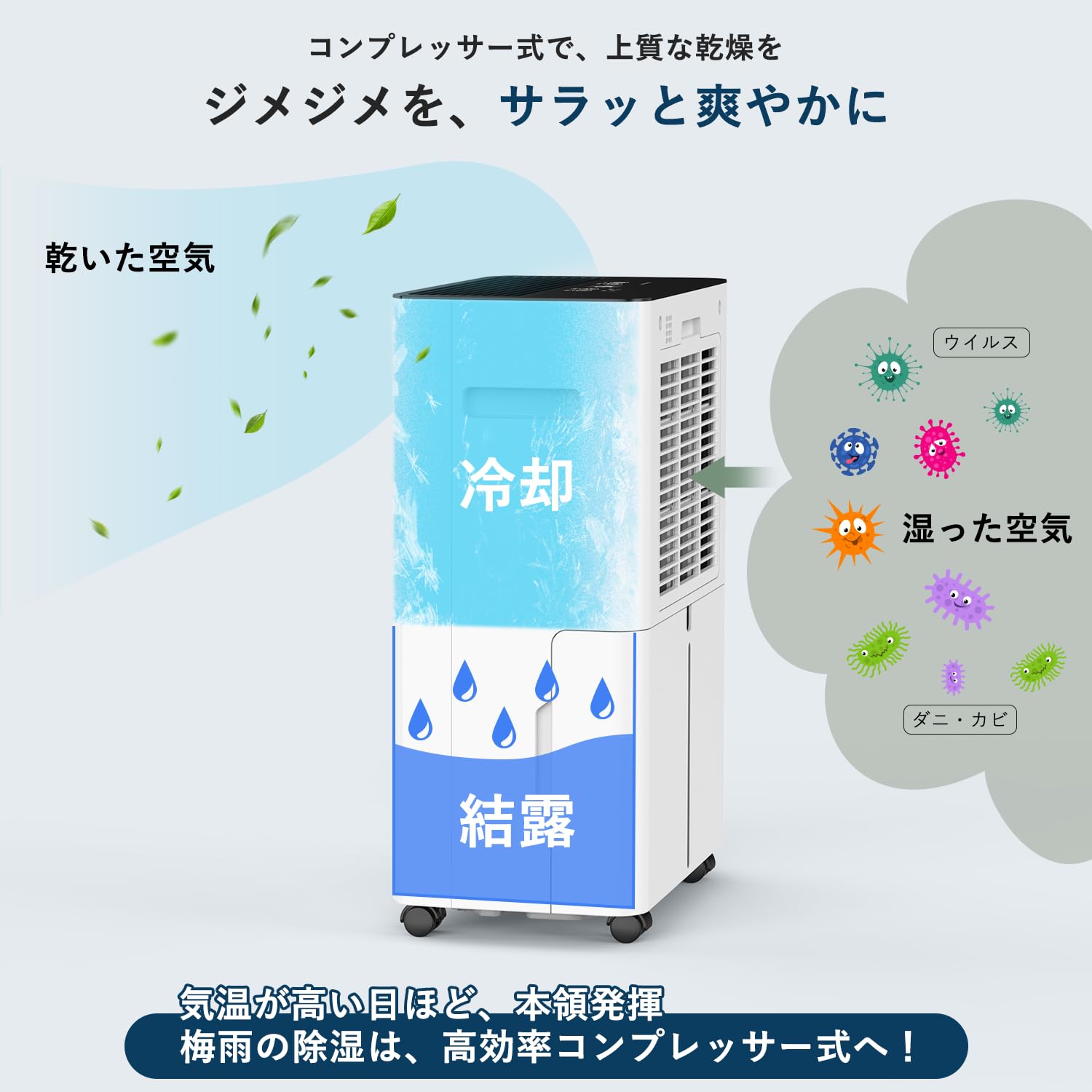 Amazon | 除湿機 コンプレッサー式 除湿器 じょしつき 衣類乾燥機 12/L