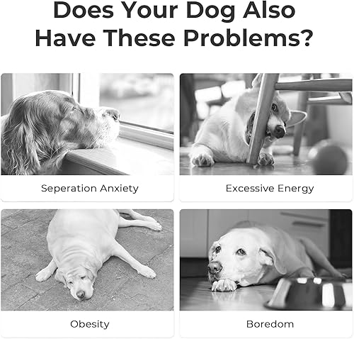 Miniatura 2 de 3 modos interactivos Cheerble - Pelota inteligente de juguete para perros con luces LED, polietileno malvado, hecha de goma natural, activación de