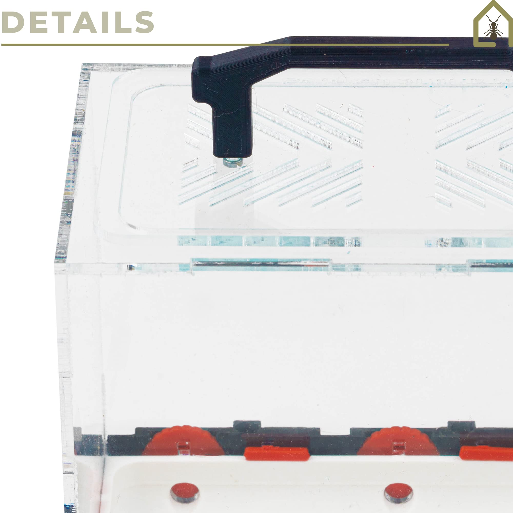 Anthouse.es - Caja de Forrajeo para Hormigueros Modulares 3D - QBIK Hexa - Terrario Colonias de Hormigas Medianas - Sistema Ergonómico y Fácil de Ampliar - 12,78x18,78x16,70 cm