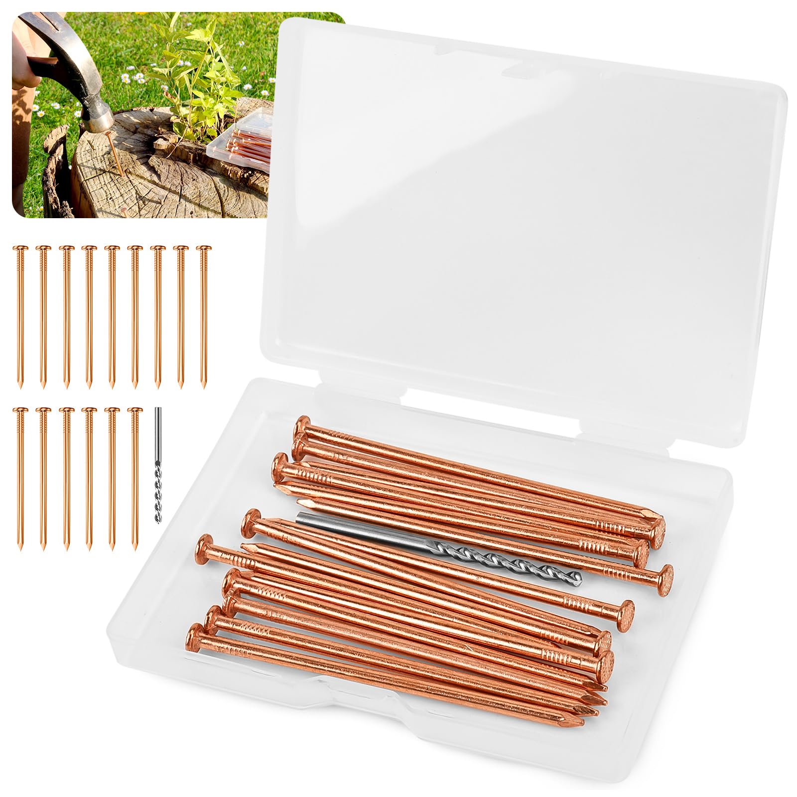 Copper Nails for Stump Removal - Kill Tree Roots -7