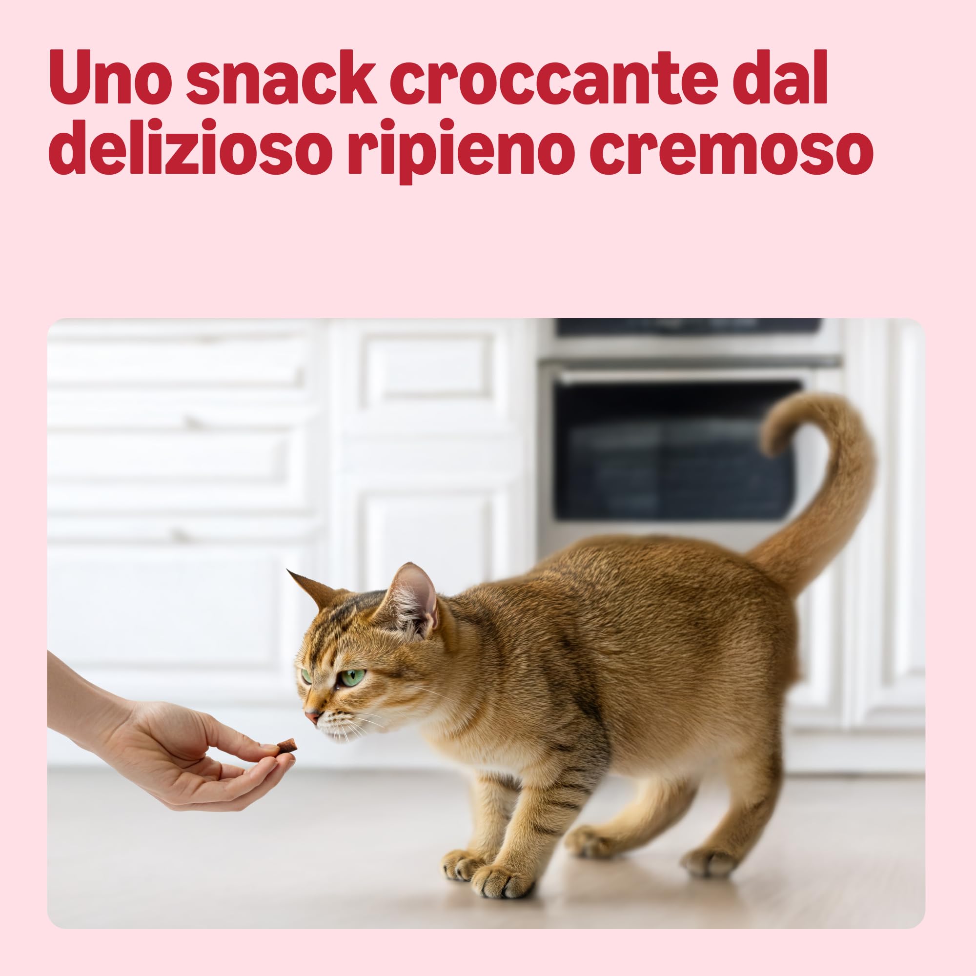 Amazon Snack per gatti crocchette ripiene con manzo e malto 70 g