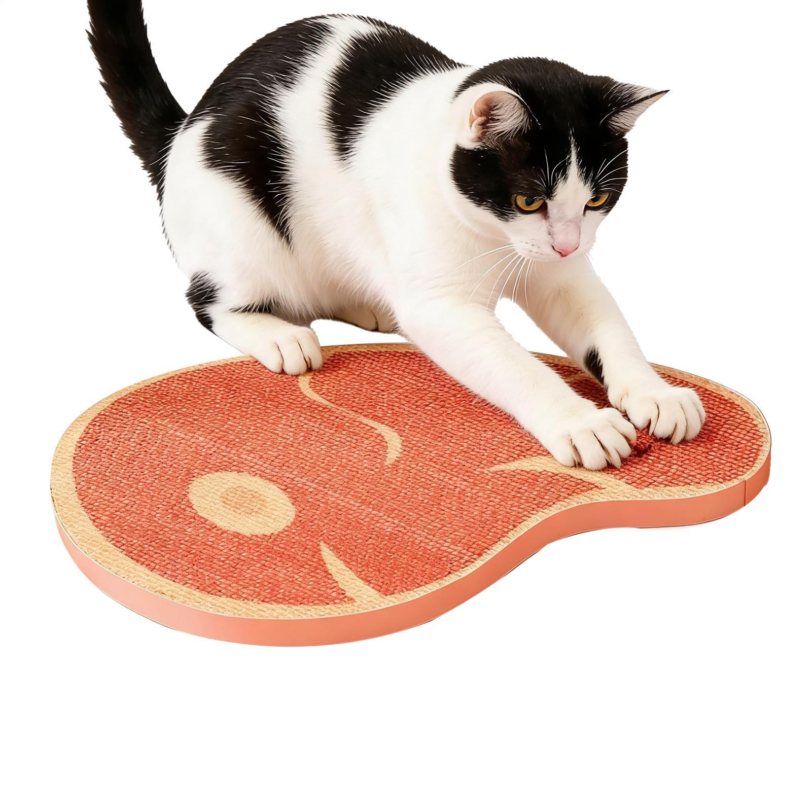 Griffoir pour chat et tapis : protégez votre mobilier en appartement et maison