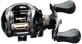 Amazon | Daiwa CR80 キャスティングリール ギア比 6.8:1 7BB
