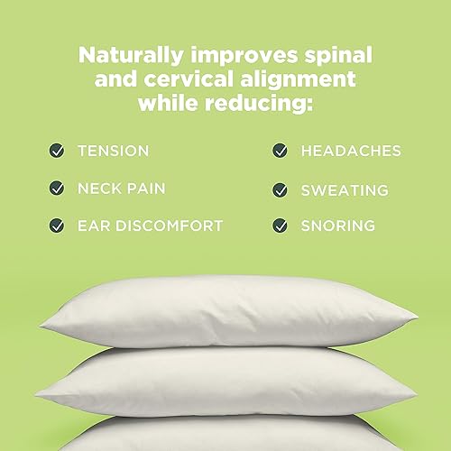 Miniatura 5 de Bean Products Almohada de trigo sarraceno  14 x 20 pulgadas  Tamaño japonés  Algodón orgánico, vegano, calidad premium  Hecho en Estados Unidos para