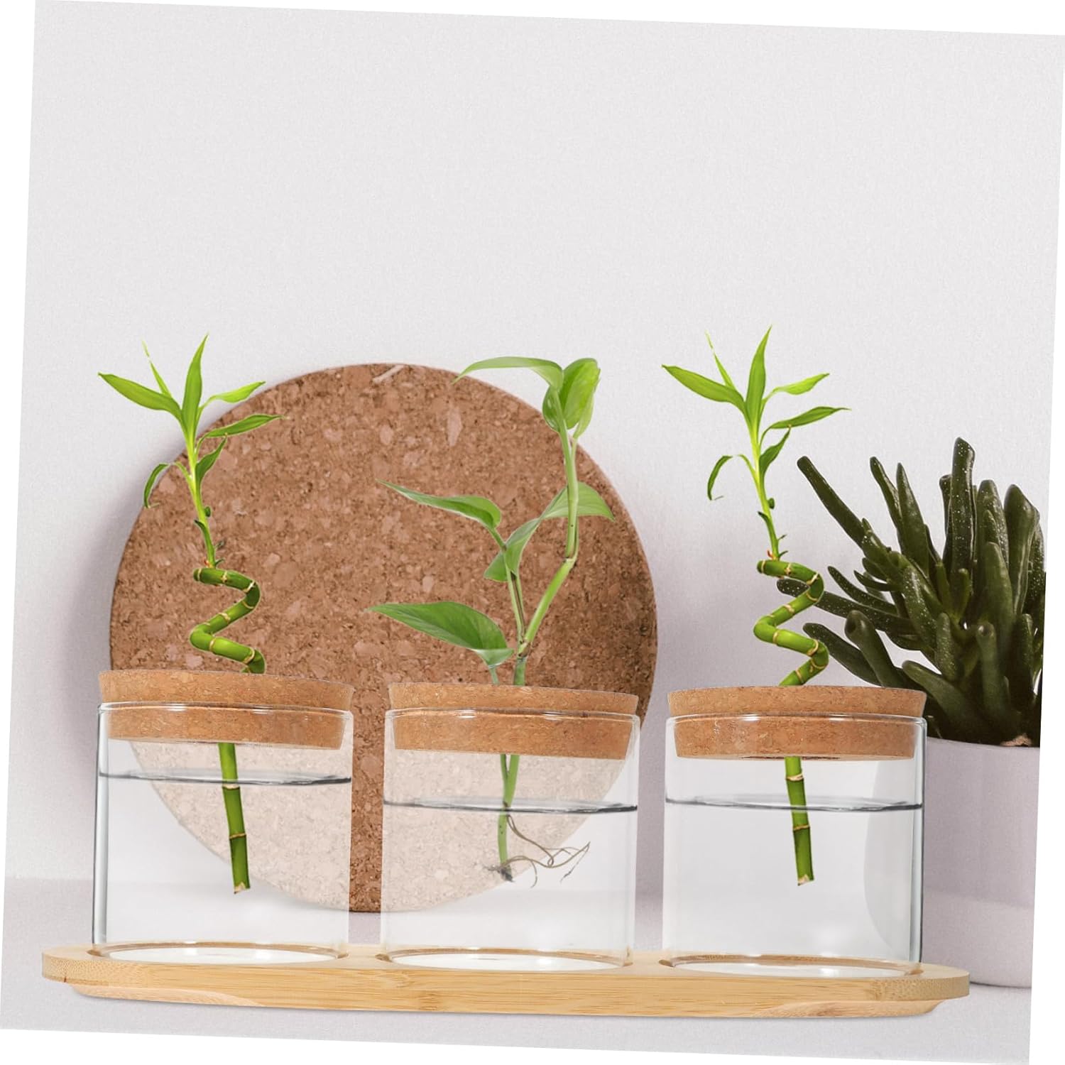 BESPORTBLE Hydroponic Glass Vase Set with Bamboo Stand Terrarium for Air Plants Decorative Water Planter for Home Office Decor Elegant Root Display