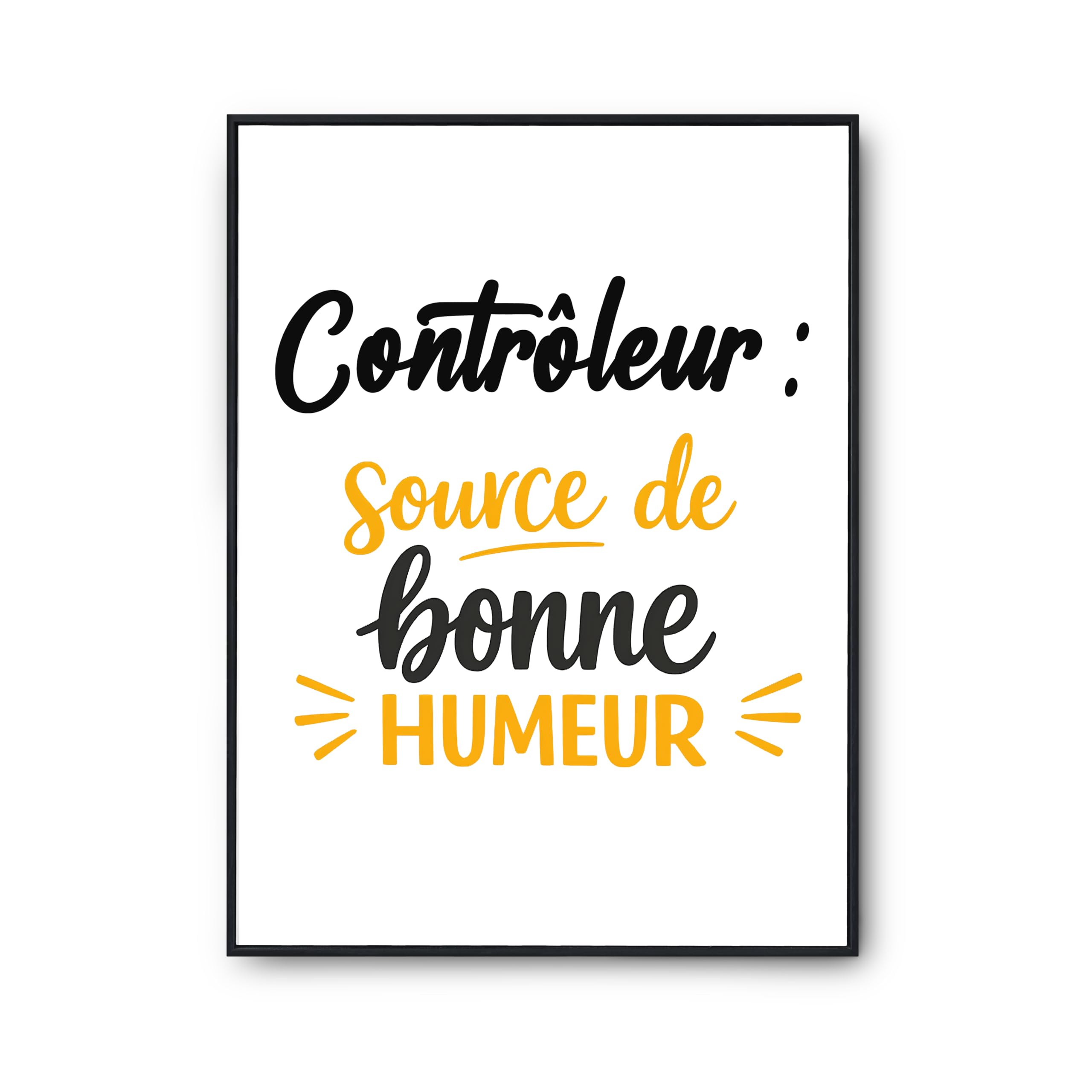 Poster controleur affiche humour decoration murale cadeau anniversaire - 6