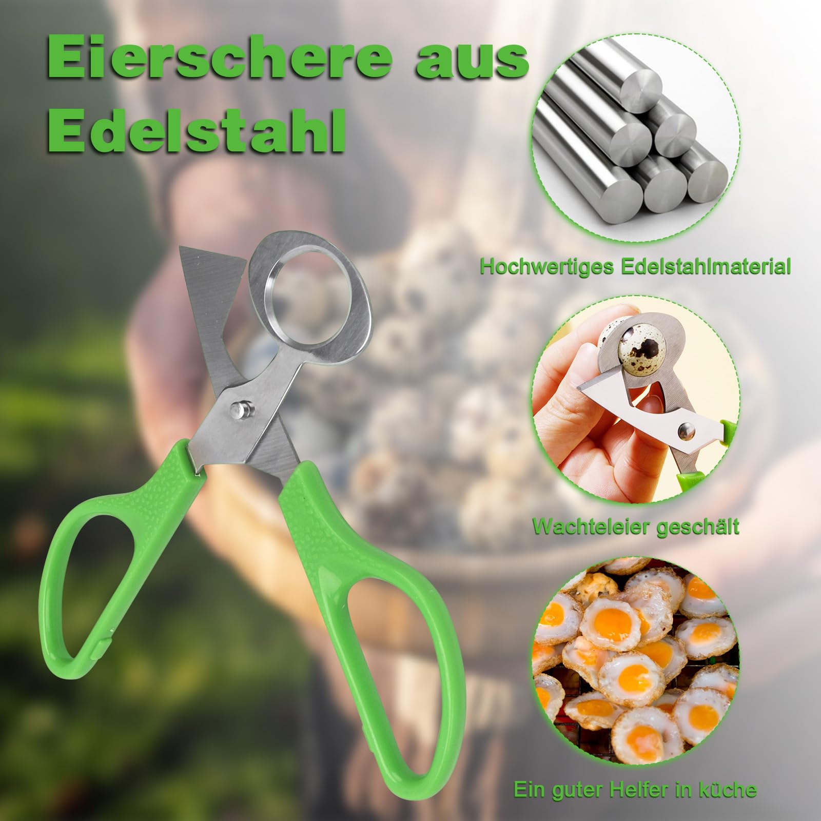 LYCXAMES Quail Egg Scissors, Quail Egg Scissors, Stainless Steel Egg Shells Cutting Scissors, Small Egg Scissors, Quail Eggs - Image 3