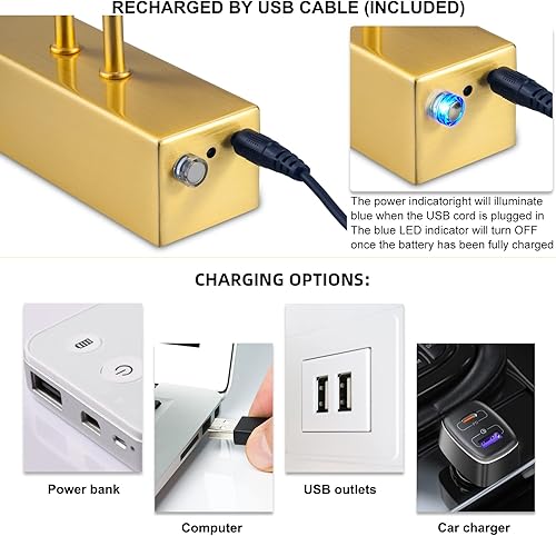 Miniatura 6 de Luz de imagen a pilas con control remoto, luces de imagen inalámbricas para pinturas con temporizador y regulable, luz artística de 16 pulgadas para