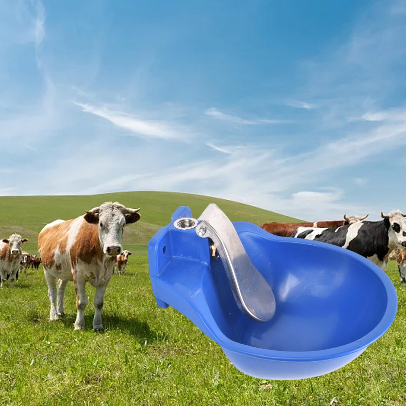 Abbeveratoio Automatico per Mucche, Maialini, Pecore, Mangiatoia per Pecore, Blu