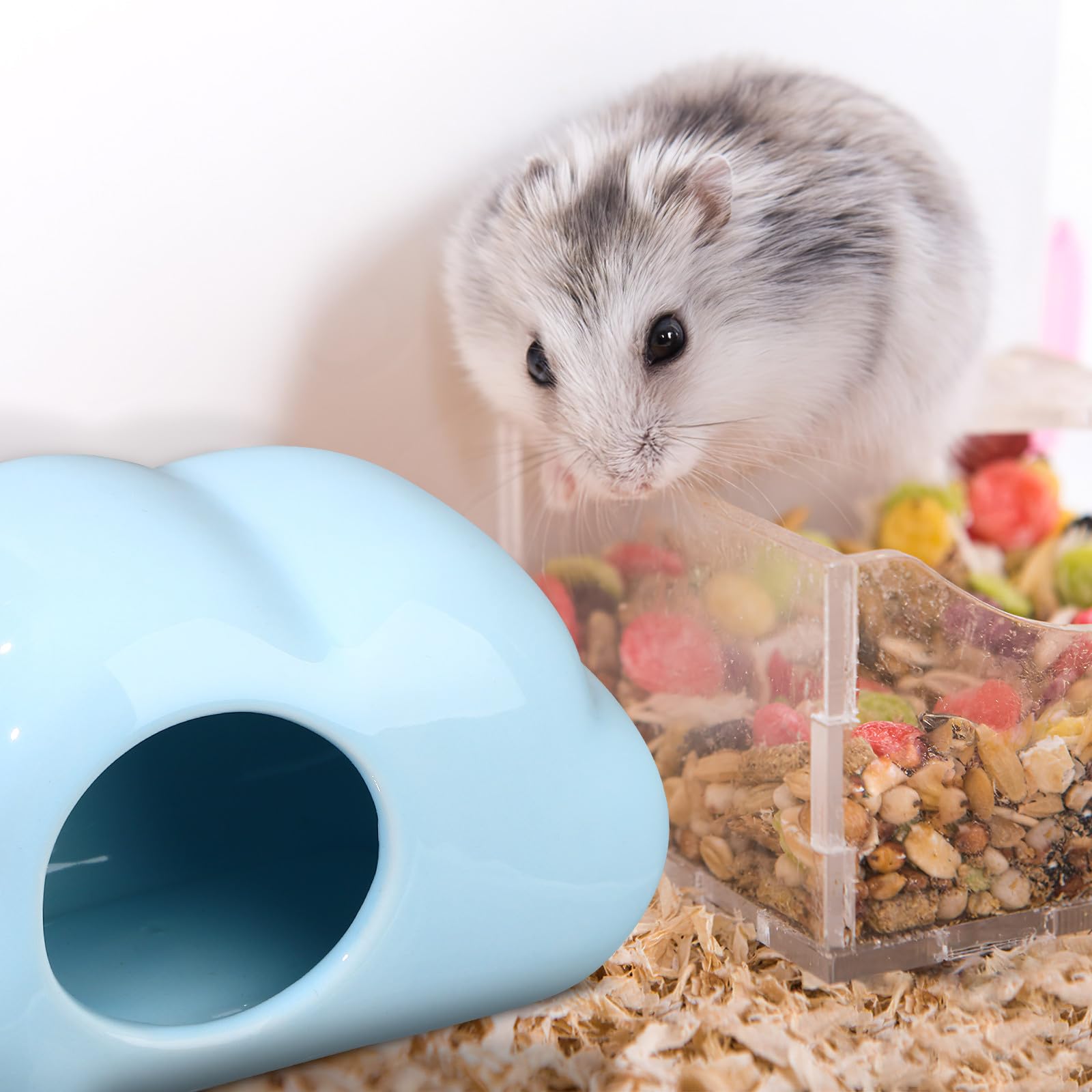 Keramik Hamster Häuschen in Wolkenform 2 Stück Leicht zu Reinigen und Kühlend Hamster Futter Versteck und Meerschweinchen im Sommer