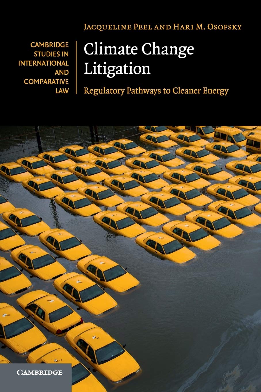 Climate Change Litigation: Regulatory Pathways to Cleaner Energy: 116 (Cambridge Studies in International and Comparative Law, Series Number 116)