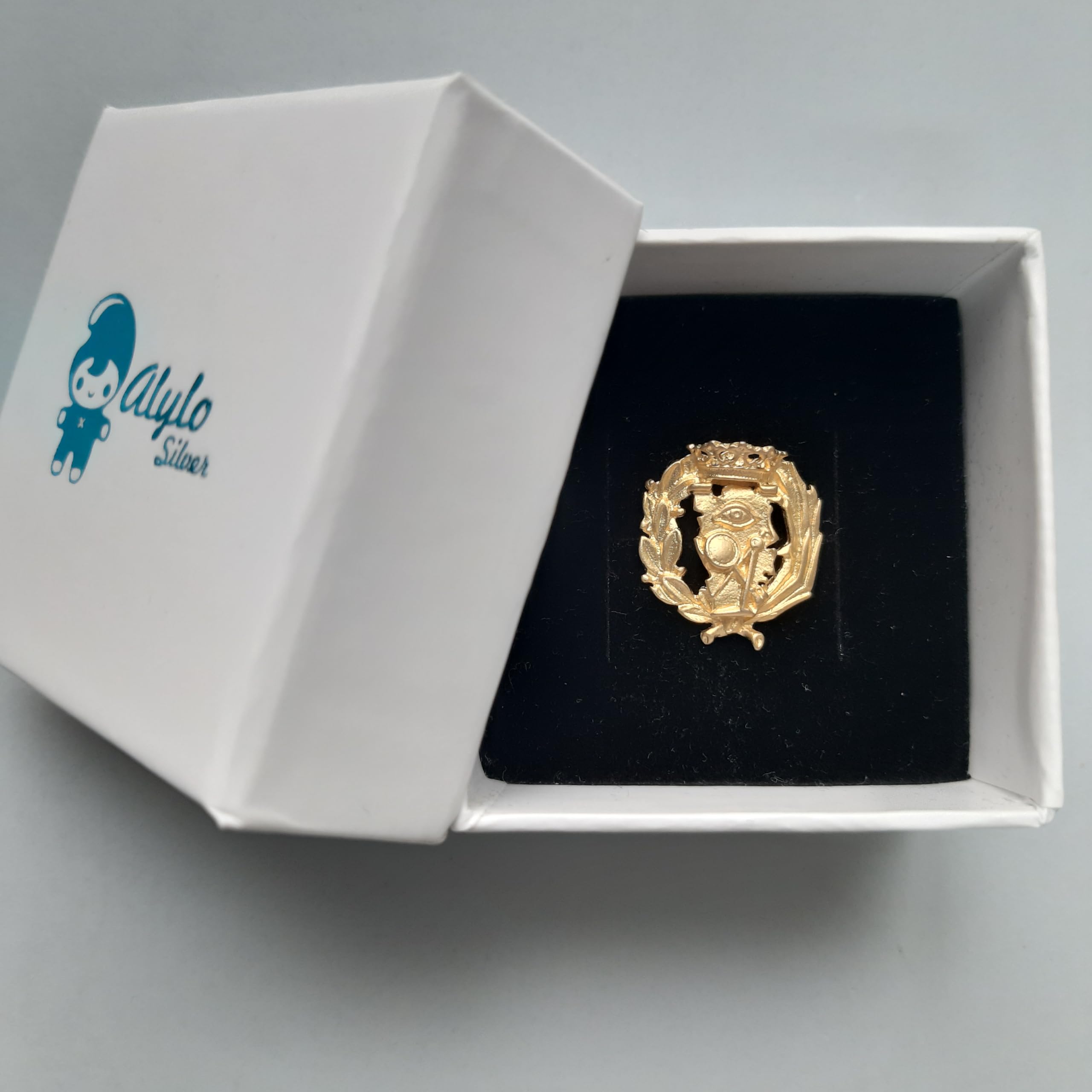 Insignia Profesional de Ciencias Exactas Pin para Hombre Mujer en Plata 925 Chapado en Oro con Estuche para Regalo
